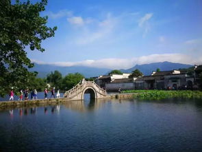 t1线纯玩 婺源篁岭鲜花小镇 大美黄山 宏村古民居 增送阿菊夜秀 高铁 三日