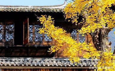 安徽塔川秋色,中国四大秋色之一,赏秋打卡地推荐