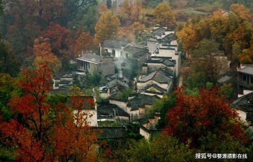这个秋天 一定要去一次婺源 村村是画,步步皆景,朦胧雾纱,古意盎然...