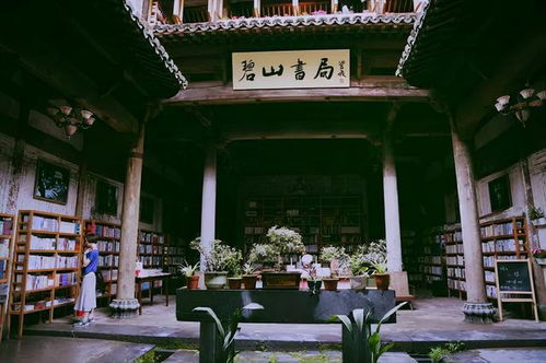 来黟县打卡，体验逝去的年味——宏村住宿全攻略