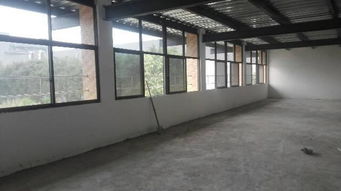 全新原房东独栋厂房 背靠深圳面向公园的宏村住宿新选择