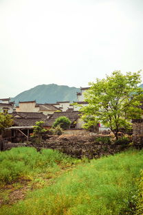 宏村住在春天里 住宿如何让古城旅行更诗意