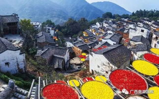 15人精致小团 11月23日,住黄山观日出 夜宿水墨宏村 婺源篁岭 塔川秋色四星双飞纯玩6日,会员低至2099元